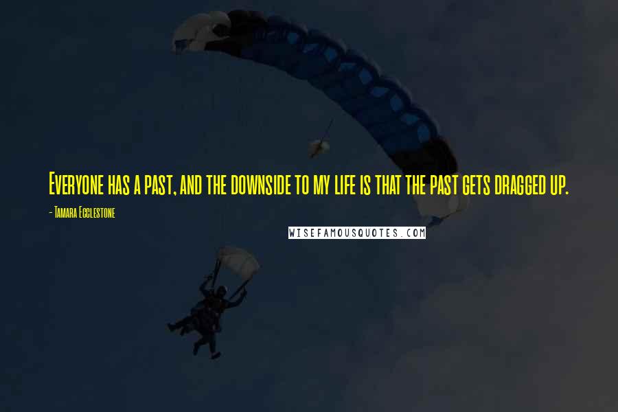 Tamara Ecclestone Quotes: Everyone has a past, and the downside to my life is that the past gets dragged up.