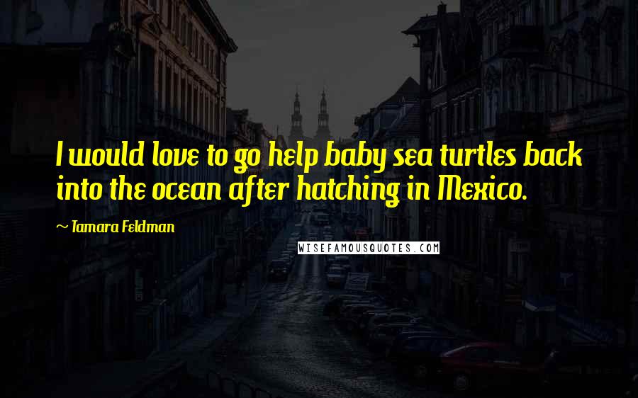 Tamara Feldman Quotes: I would love to go help baby sea turtles back into the ocean after hatching in Mexico.