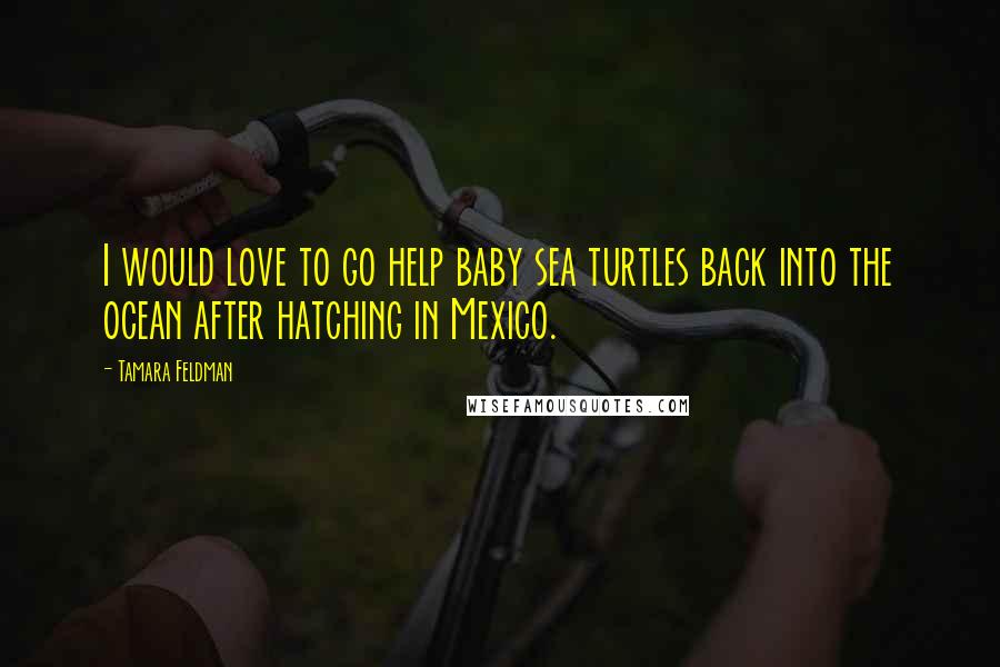 Tamara Feldman Quotes: I would love to go help baby sea turtles back into the ocean after hatching in Mexico.