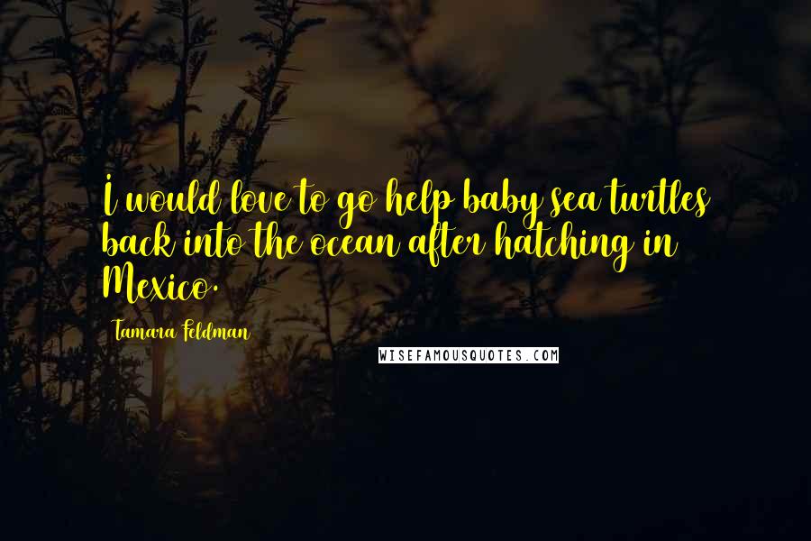 Tamara Feldman Quotes: I would love to go help baby sea turtles back into the ocean after hatching in Mexico.