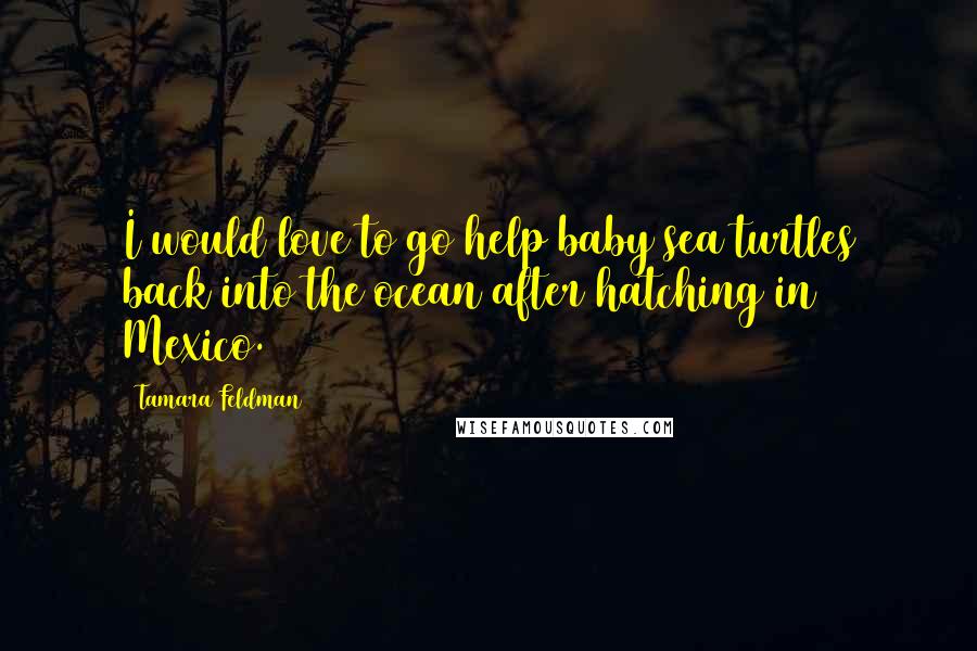 Tamara Feldman Quotes: I would love to go help baby sea turtles back into the ocean after hatching in Mexico.