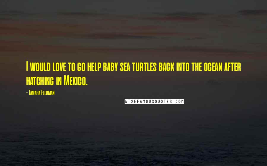 Tamara Feldman Quotes: I would love to go help baby sea turtles back into the ocean after hatching in Mexico.