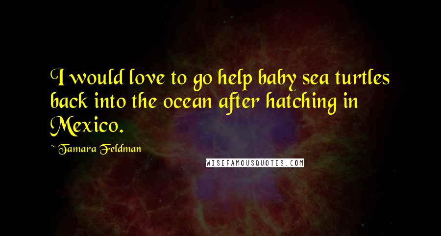 Tamara Feldman Quotes: I would love to go help baby sea turtles back into the ocean after hatching in Mexico.