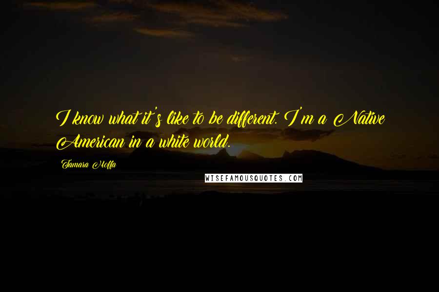 Tamara Hoffa Quotes: I know what it's like to be different. I'm a Native American in a white world.