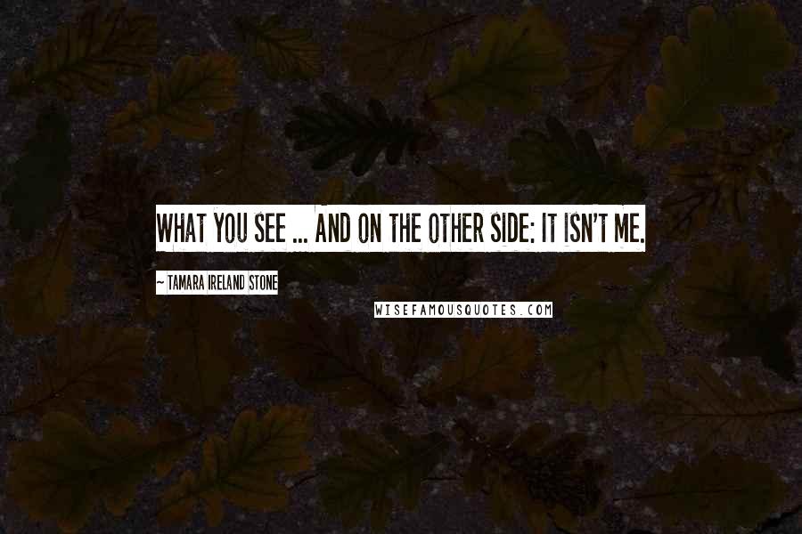 Tamara Ireland Stone Quotes: What you see ... And on the other side: It isn't me.