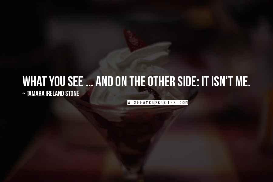 Tamara Ireland Stone Quotes: What you see ... And on the other side: It isn't me.