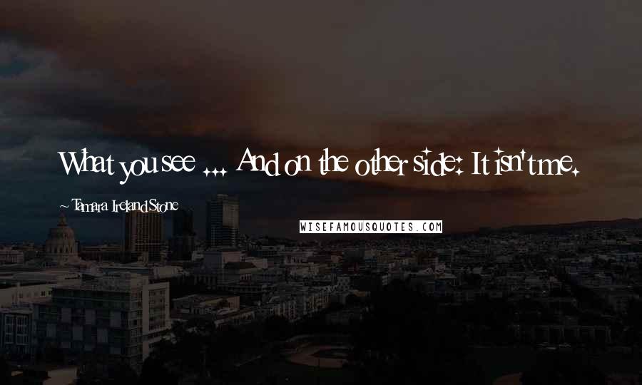 Tamara Ireland Stone Quotes: What you see ... And on the other side: It isn't me.