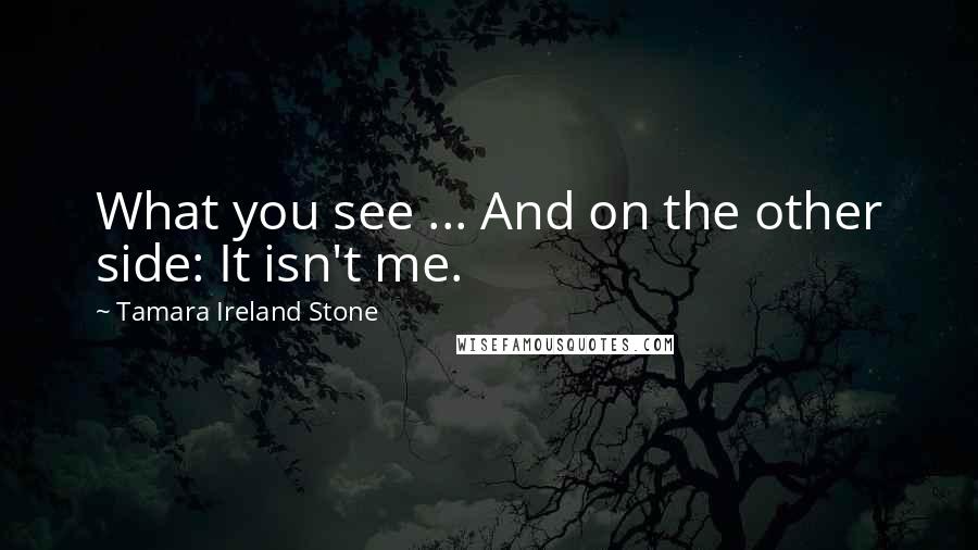 Tamara Ireland Stone Quotes: What you see ... And on the other side: It isn't me.