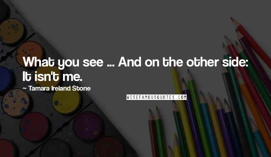 Tamara Ireland Stone Quotes: What you see ... And on the other side: It isn't me.