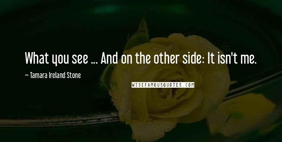 Tamara Ireland Stone Quotes: What you see ... And on the other side: It isn't me.