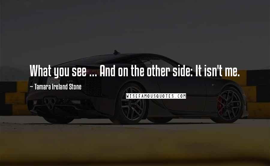 Tamara Ireland Stone Quotes: What you see ... And on the other side: It isn't me.