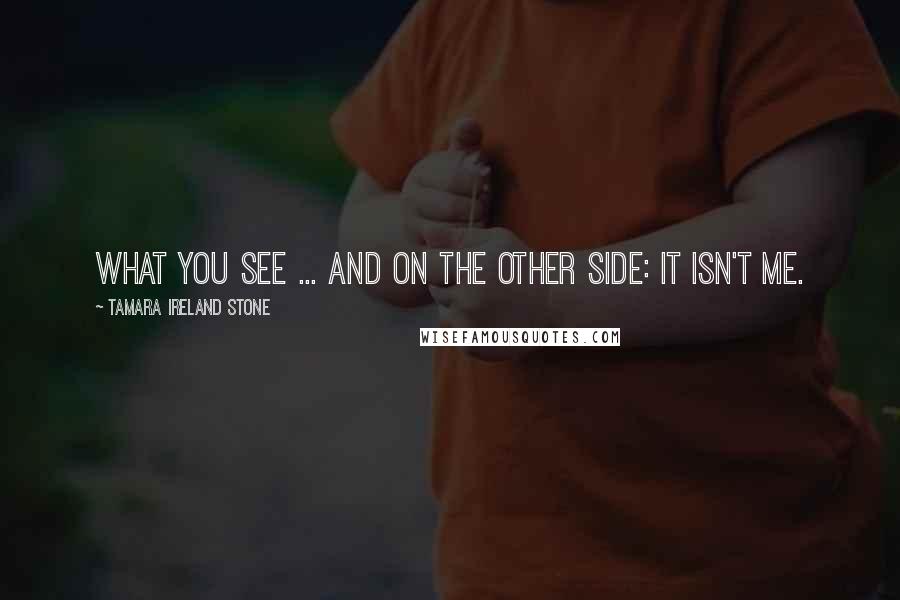Tamara Ireland Stone Quotes: What you see ... And on the other side: It isn't me.