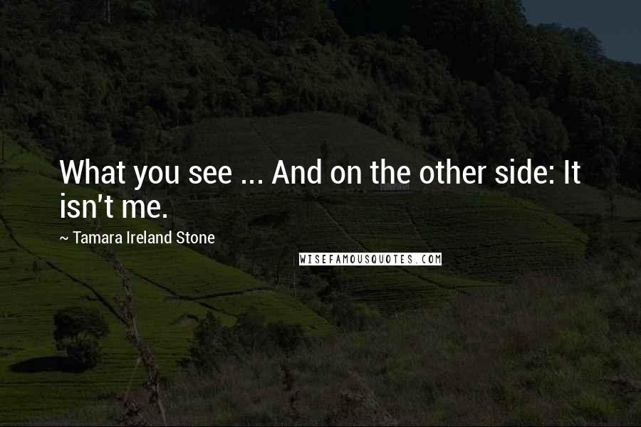 Tamara Ireland Stone Quotes: What you see ... And on the other side: It isn't me.