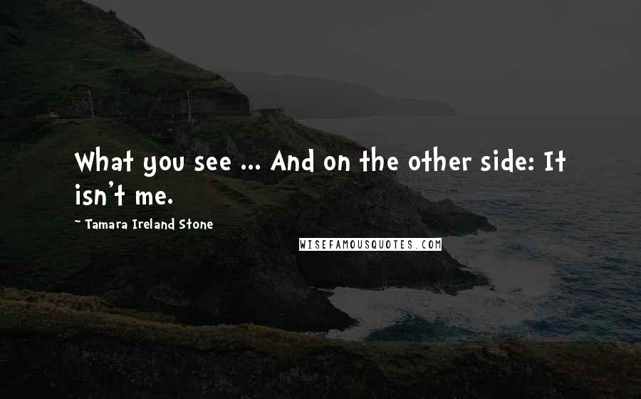 Tamara Ireland Stone Quotes: What you see ... And on the other side: It isn't me.