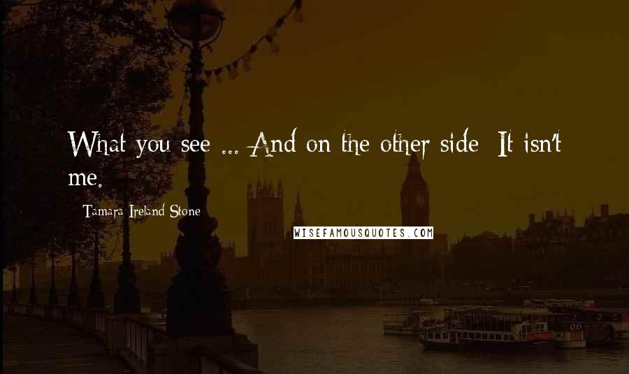 Tamara Ireland Stone Quotes: What you see ... And on the other side: It isn't me.