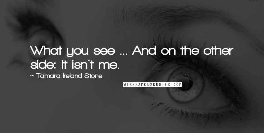 Tamara Ireland Stone Quotes: What you see ... And on the other side: It isn't me.