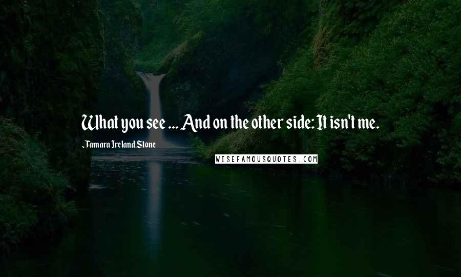 Tamara Ireland Stone Quotes: What you see ... And on the other side: It isn't me.