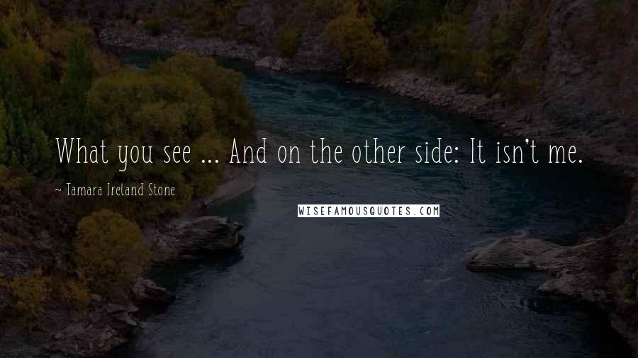 Tamara Ireland Stone Quotes: What you see ... And on the other side: It isn't me.