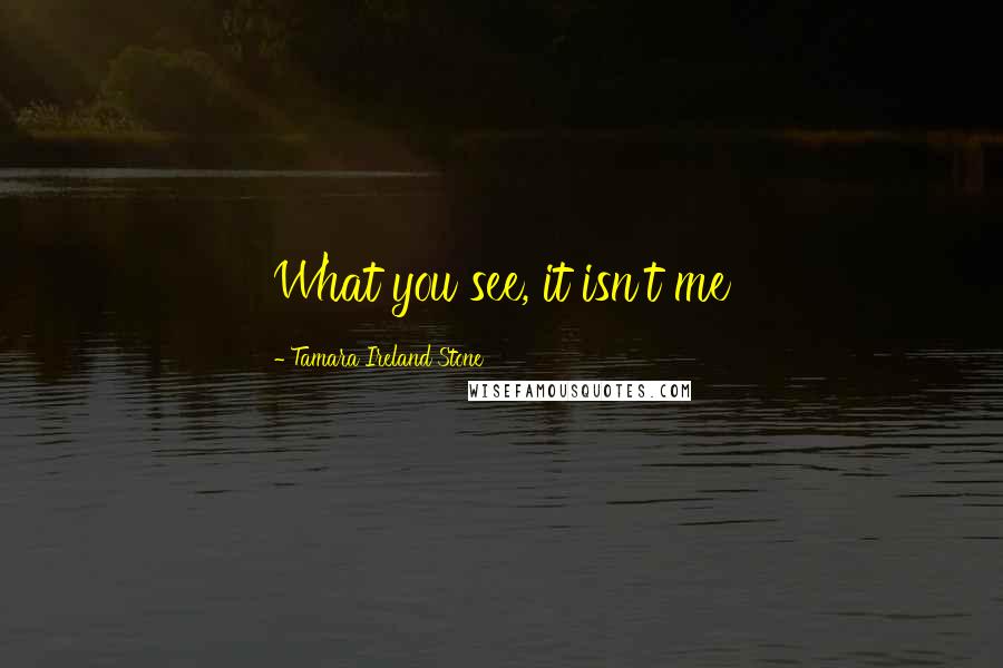 Tamara Ireland Stone Quotes: What you see, it isn't me