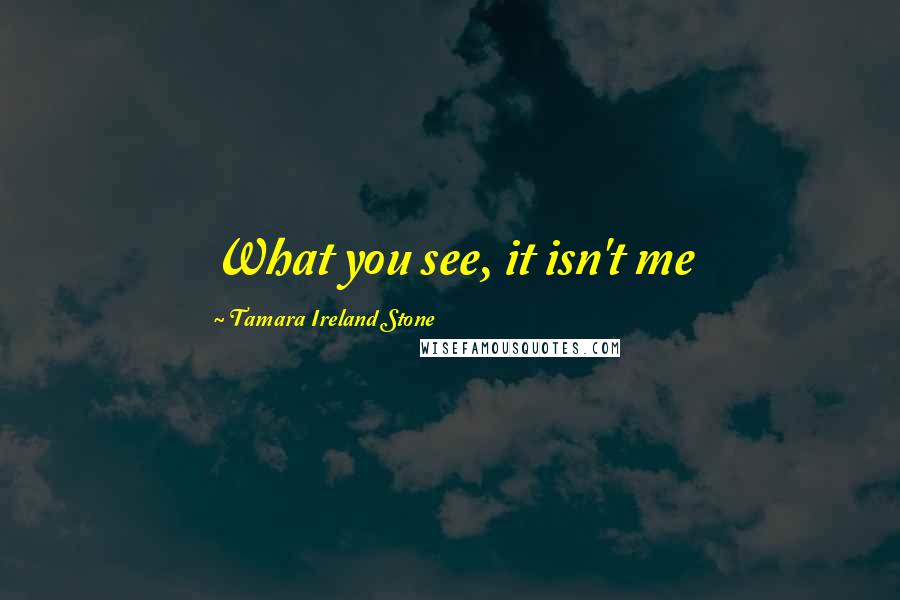 Tamara Ireland Stone Quotes: What you see, it isn't me