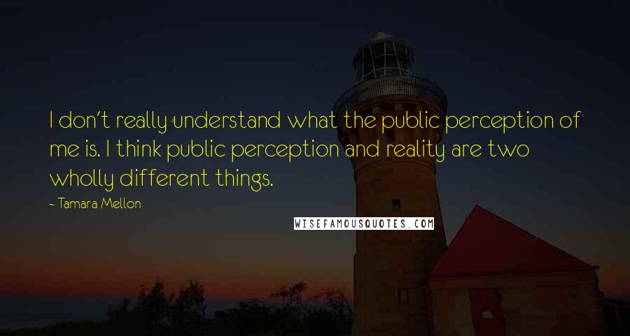 Tamara Mellon Quotes: I don't really understand what the public perception of me is. I think public perception and reality are two wholly different things.