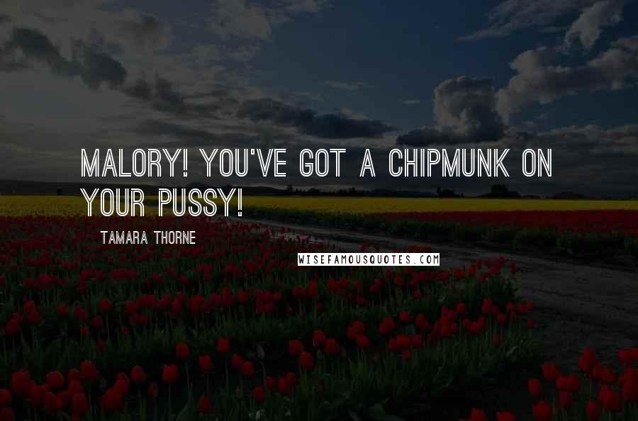 Tamara Thorne Quotes: Malory! You've got a chipmunk on your pussy!