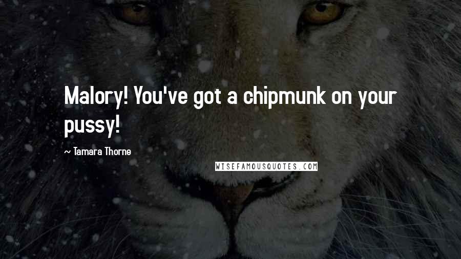 Tamara Thorne Quotes: Malory! You've got a chipmunk on your pussy!