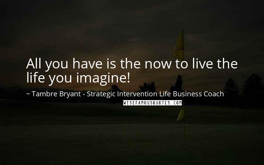 Tambre Bryant - Strategic Intervention Life Business Coach Quotes: All you have is the now to live the life you imagine!