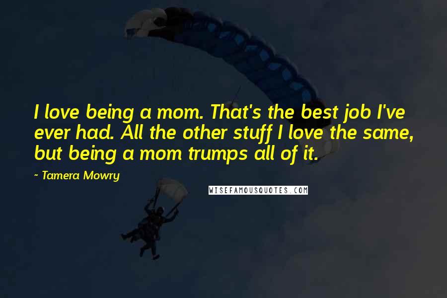 Tamera Mowry Quotes: I love being a mom. That's the best job I've ever had. All the other stuff I love the same, but being a mom trumps all of it.