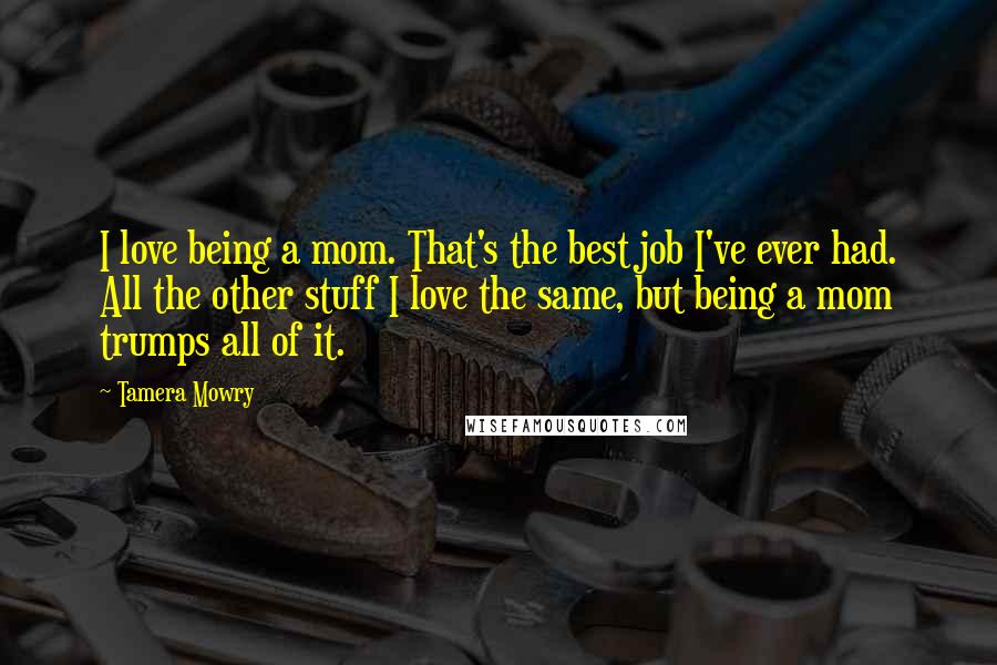 Tamera Mowry Quotes: I love being a mom. That's the best job I've ever had. All the other stuff I love the same, but being a mom trumps all of it.