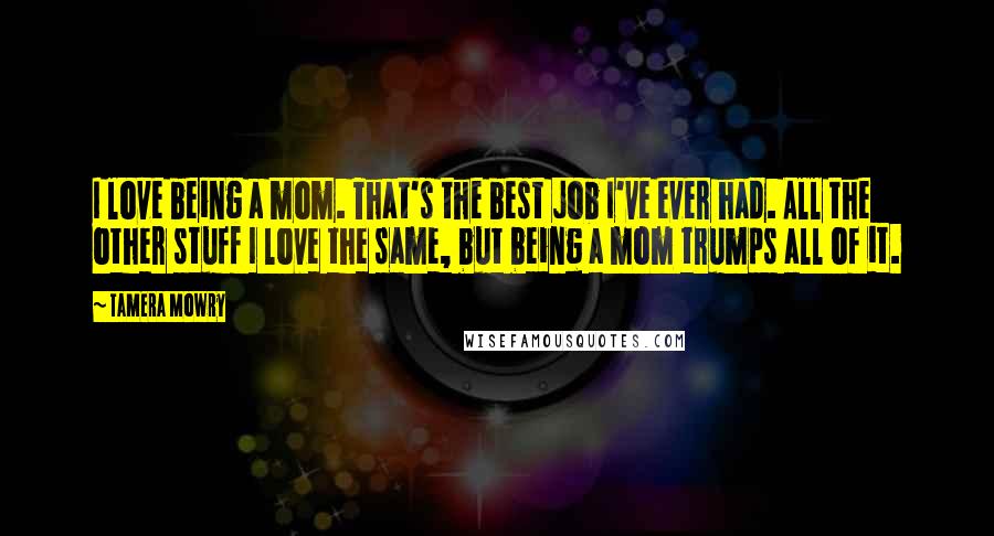 Tamera Mowry Quotes: I love being a mom. That's the best job I've ever had. All the other stuff I love the same, but being a mom trumps all of it.