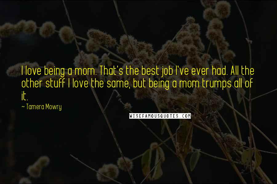 Tamera Mowry Quotes: I love being a mom. That's the best job I've ever had. All the other stuff I love the same, but being a mom trumps all of it.