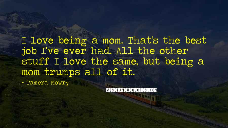 Tamera Mowry Quotes: I love being a mom. That's the best job I've ever had. All the other stuff I love the same, but being a mom trumps all of it.