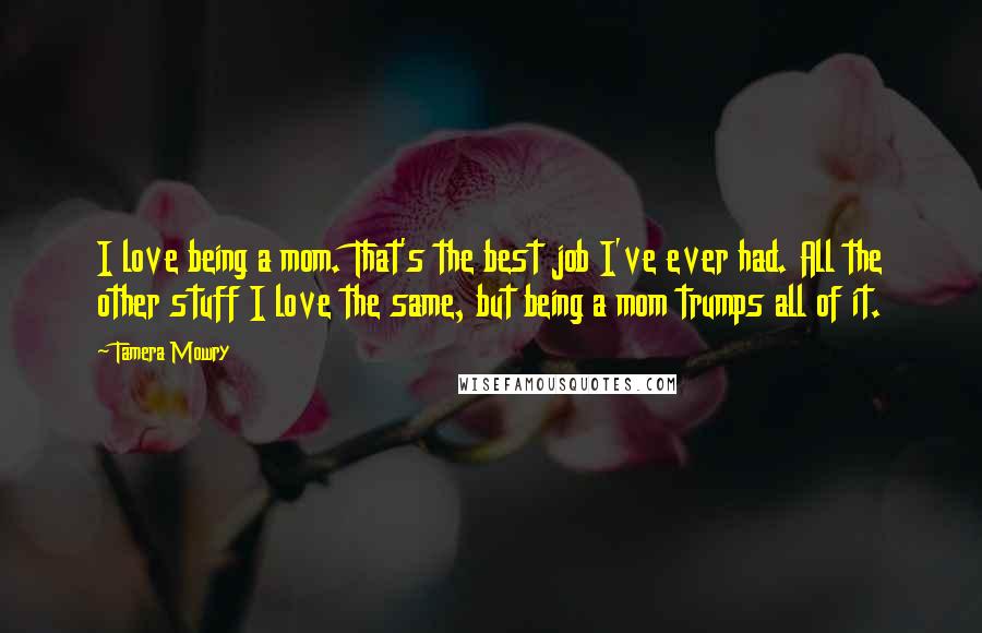 Tamera Mowry Quotes: I love being a mom. That's the best job I've ever had. All the other stuff I love the same, but being a mom trumps all of it.