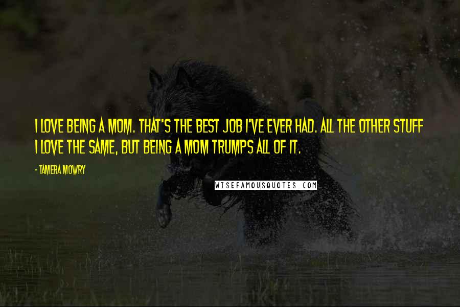 Tamera Mowry Quotes: I love being a mom. That's the best job I've ever had. All the other stuff I love the same, but being a mom trumps all of it.