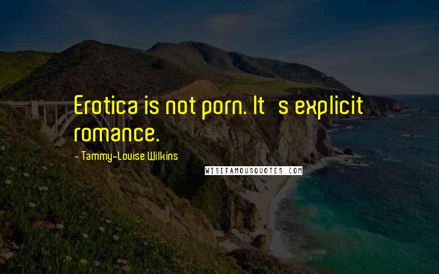 Tammy-Louise Wilkins Quotes: Erotica is not porn. It's explicit romance.