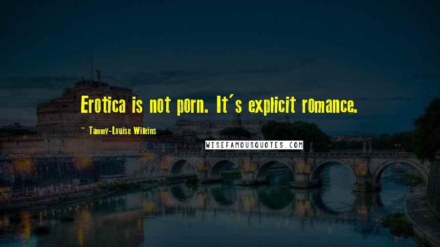 Tammy-Louise Wilkins Quotes: Erotica is not porn. It's explicit romance.