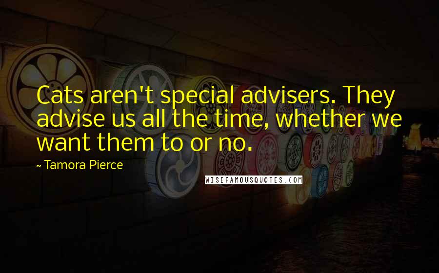 Tamora Pierce Quotes: Cats aren't special advisers. They advise us all the time, whether we want them to or no.