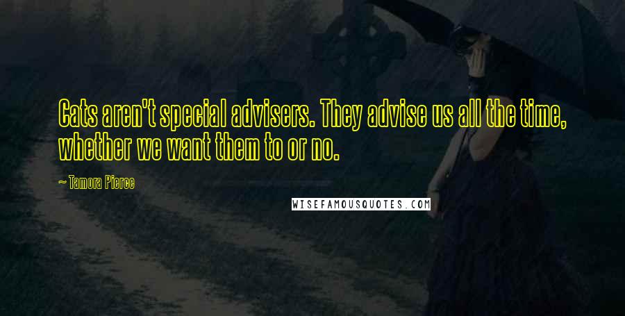 Tamora Pierce Quotes: Cats aren't special advisers. They advise us all the time, whether we want them to or no.