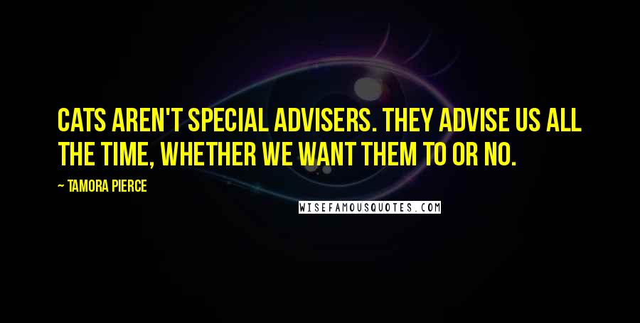 Tamora Pierce Quotes: Cats aren't special advisers. They advise us all the time, whether we want them to or no.