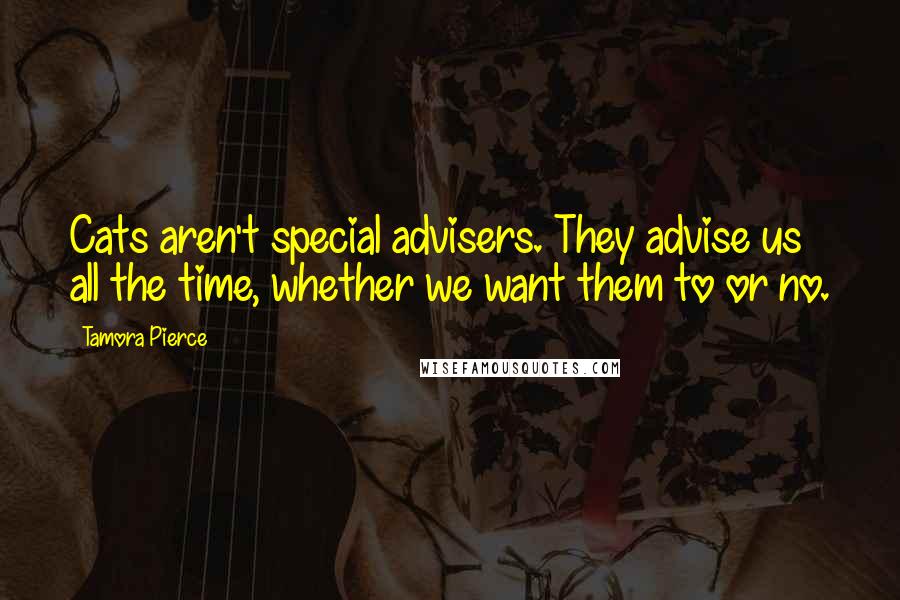 Tamora Pierce Quotes: Cats aren't special advisers. They advise us all the time, whether we want them to or no.