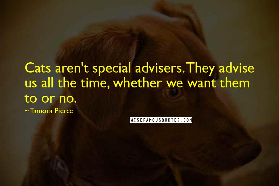 Tamora Pierce Quotes: Cats aren't special advisers. They advise us all the time, whether we want them to or no.