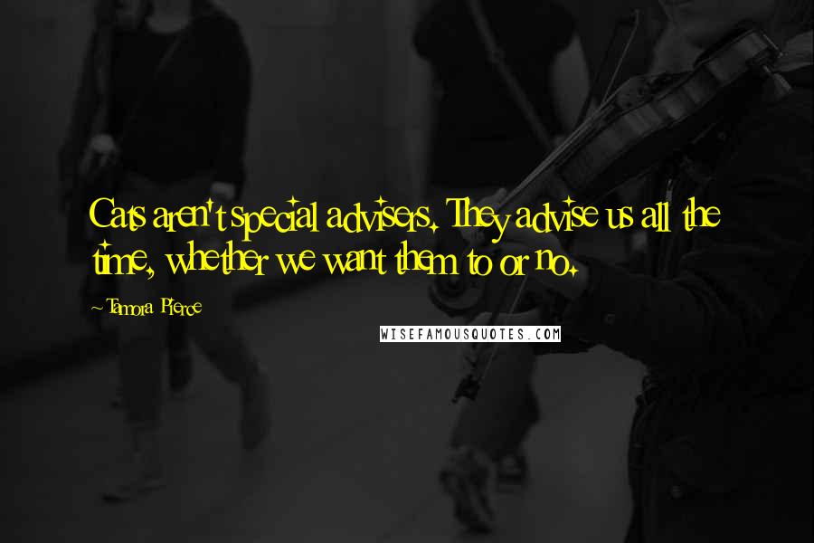 Tamora Pierce Quotes: Cats aren't special advisers. They advise us all the time, whether we want them to or no.