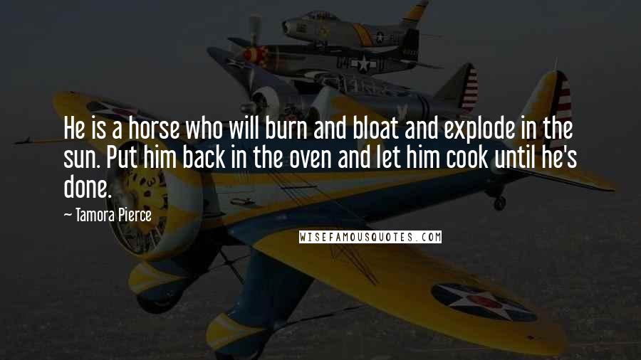 Tamora Pierce Quotes: He is a horse who will burn and bloat and explode in the sun. Put him back in the oven and let him cook until he's done.