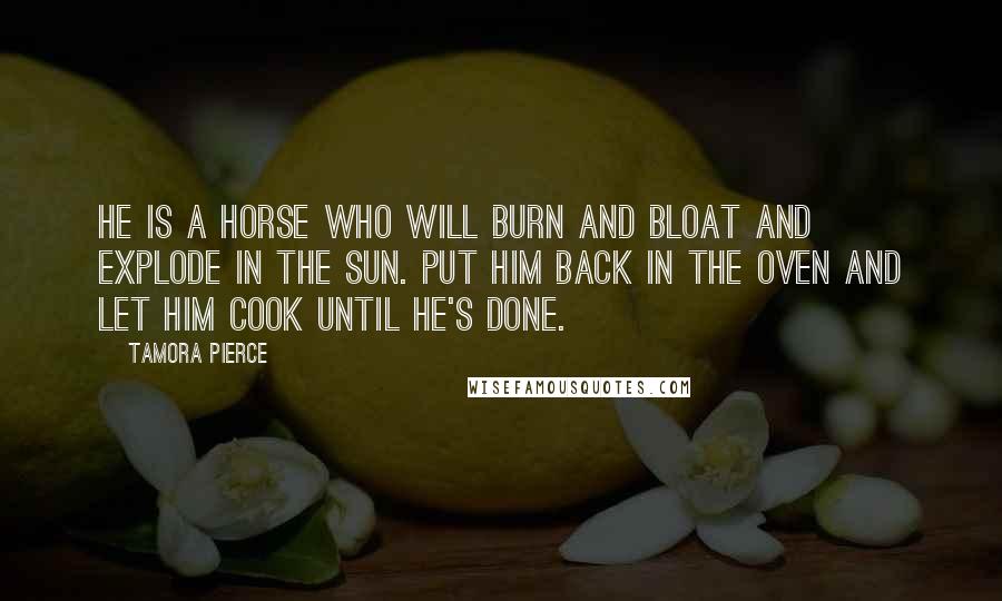Tamora Pierce Quotes: He is a horse who will burn and bloat and explode in the sun. Put him back in the oven and let him cook until he's done.