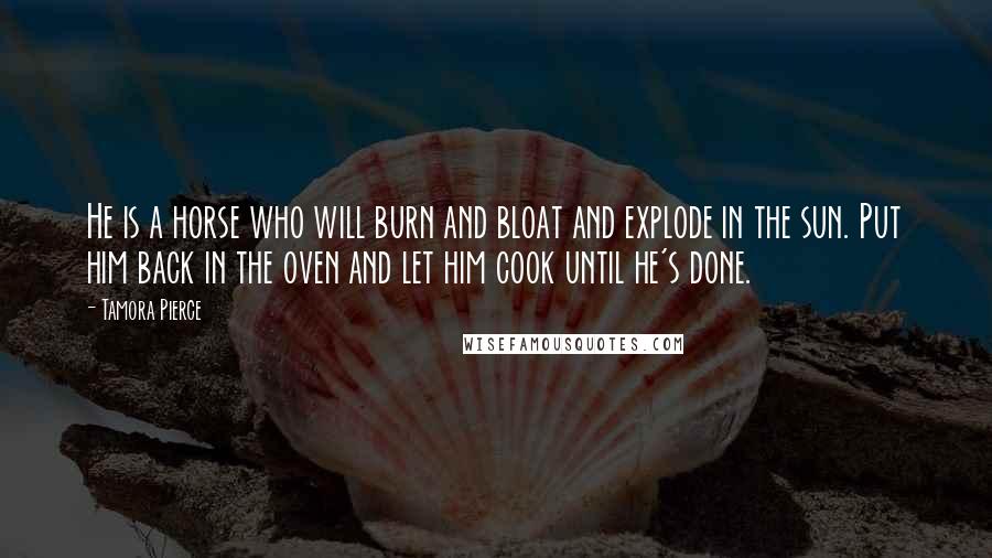 Tamora Pierce Quotes: He is a horse who will burn and bloat and explode in the sun. Put him back in the oven and let him cook until he's done.