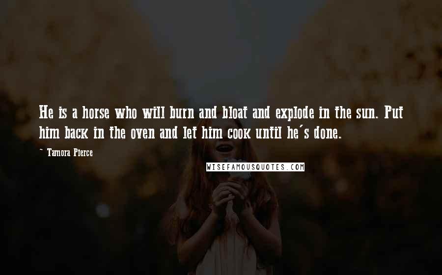 Tamora Pierce Quotes: He is a horse who will burn and bloat and explode in the sun. Put him back in the oven and let him cook until he's done.