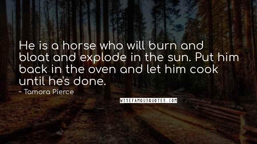Tamora Pierce Quotes: He is a horse who will burn and bloat and explode in the sun. Put him back in the oven and let him cook until he's done.