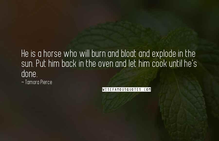 Tamora Pierce Quotes: He is a horse who will burn and bloat and explode in the sun. Put him back in the oven and let him cook until he's done.
