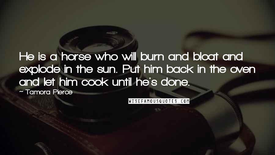 Tamora Pierce Quotes: He is a horse who will burn and bloat and explode in the sun. Put him back in the oven and let him cook until he's done.